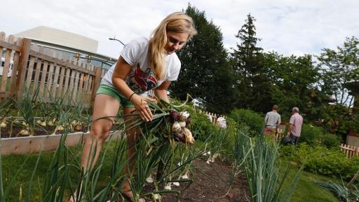 Sustainability on campus